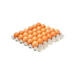 MAPLE DE HUEVOS GRANDE