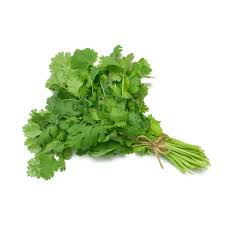 CILANTRO X ATADO